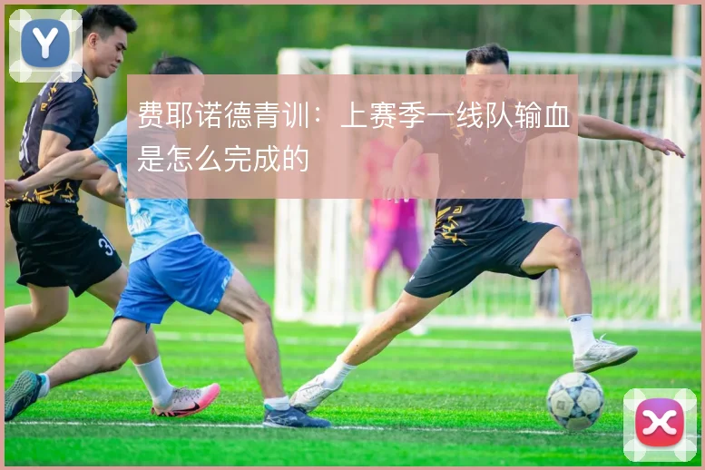 费耶诺德青训：上赛季一线队输血是怎么完成的